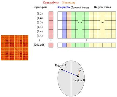 Regression models for partially localized fMRI connectivity analyses